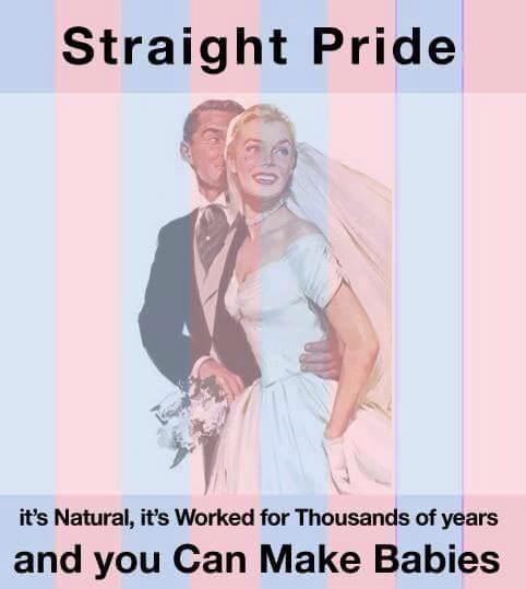 Straight Pride. It's natural. It's worked for thousands of years. And you can make babies!