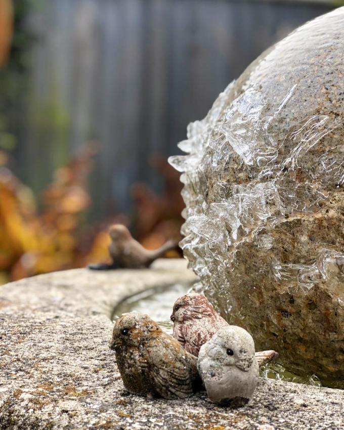 Three little statues of sparrows sitting on the edge of a water fountain that is frozen due to a heavy winter's frost