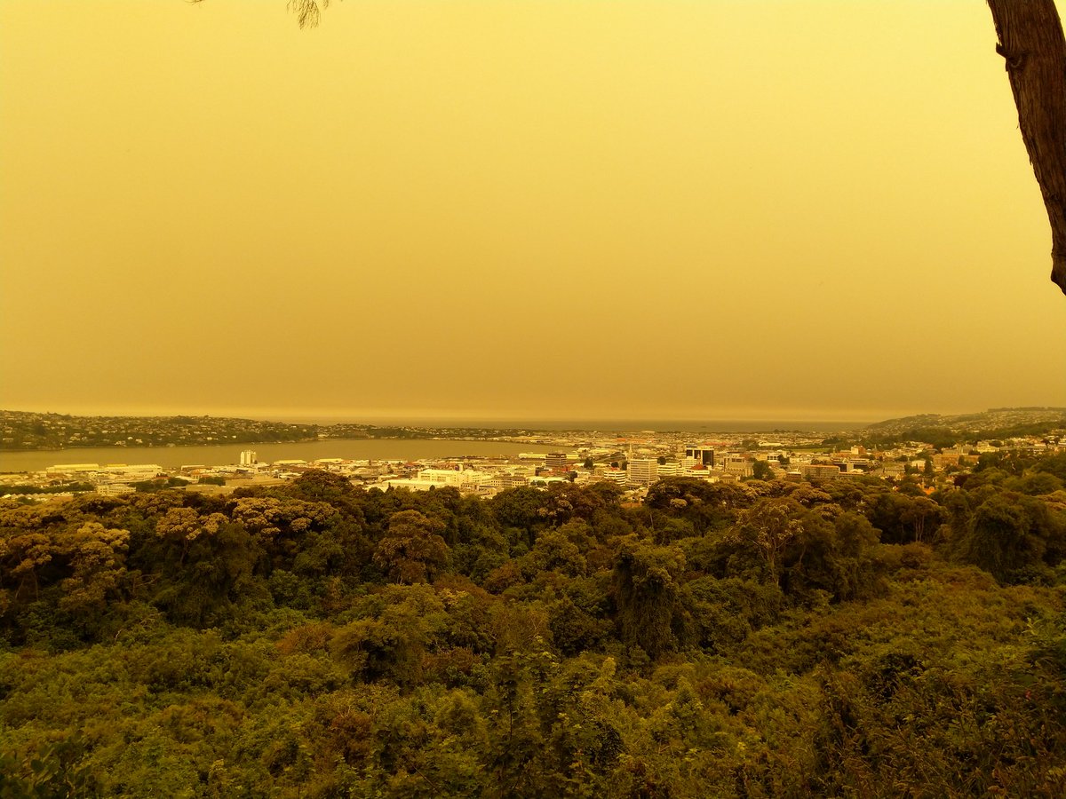 Yellow skies over Dunedin on 1 January 2020 by Twitter user @opetheater