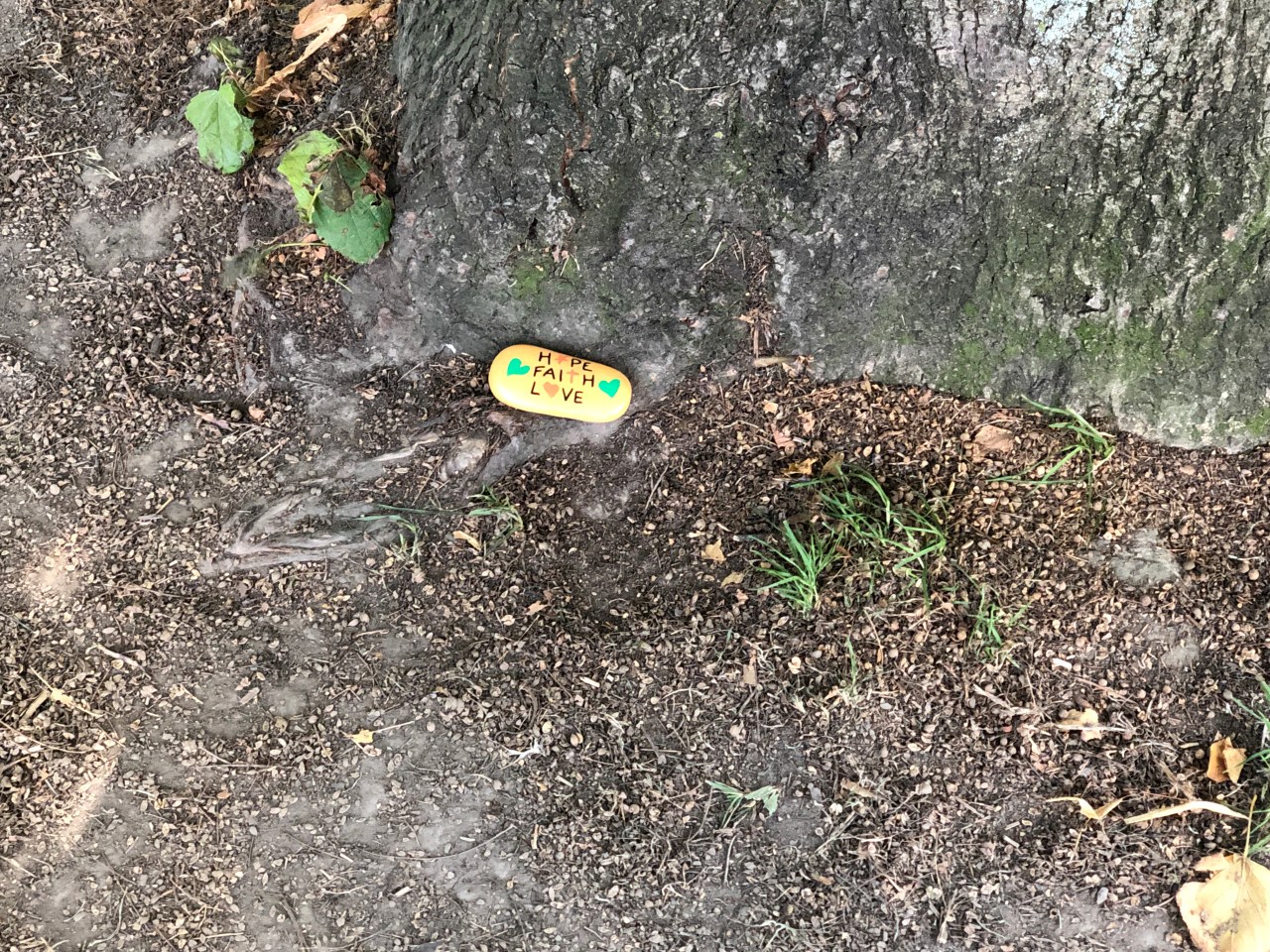 A lone stone sits at the base of a tree. Painted on it are two hearts with the words, "Hope. Faith. Love" for the victims of the Christchurch terrorist attacks.