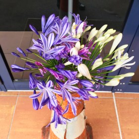 Various purple and white flowers in a traffic cone: a symbol of the Christchurch earthquakes