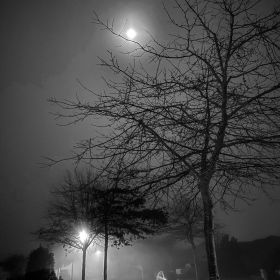 Foggy winter evening with the moon in the sky in Christchurch, New Zealand on 2 June 2020