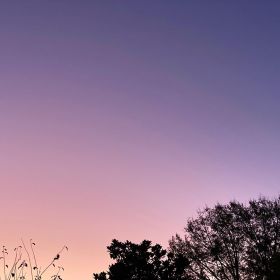 Beautiful Pastel Sunset in Autumn 2020