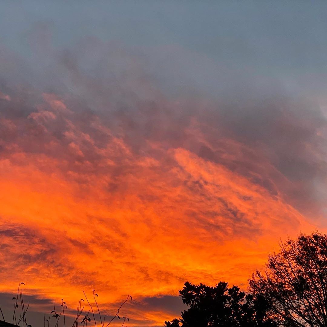 Orange and dark red clouds in the sky with silhouettes of trees at the bottom, beautiful sunset