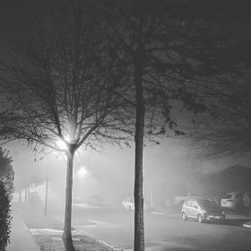 Black and white photo of a suburban New Zealand street at night with streetlights casting shadows of trees through the fog