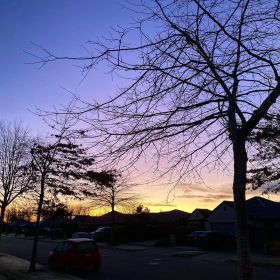 Winter sunrise over the skyline showing bright yellows at the rooftops going to a salmon color and then a light purple and then a darker blue sky, with outlines of bare trees