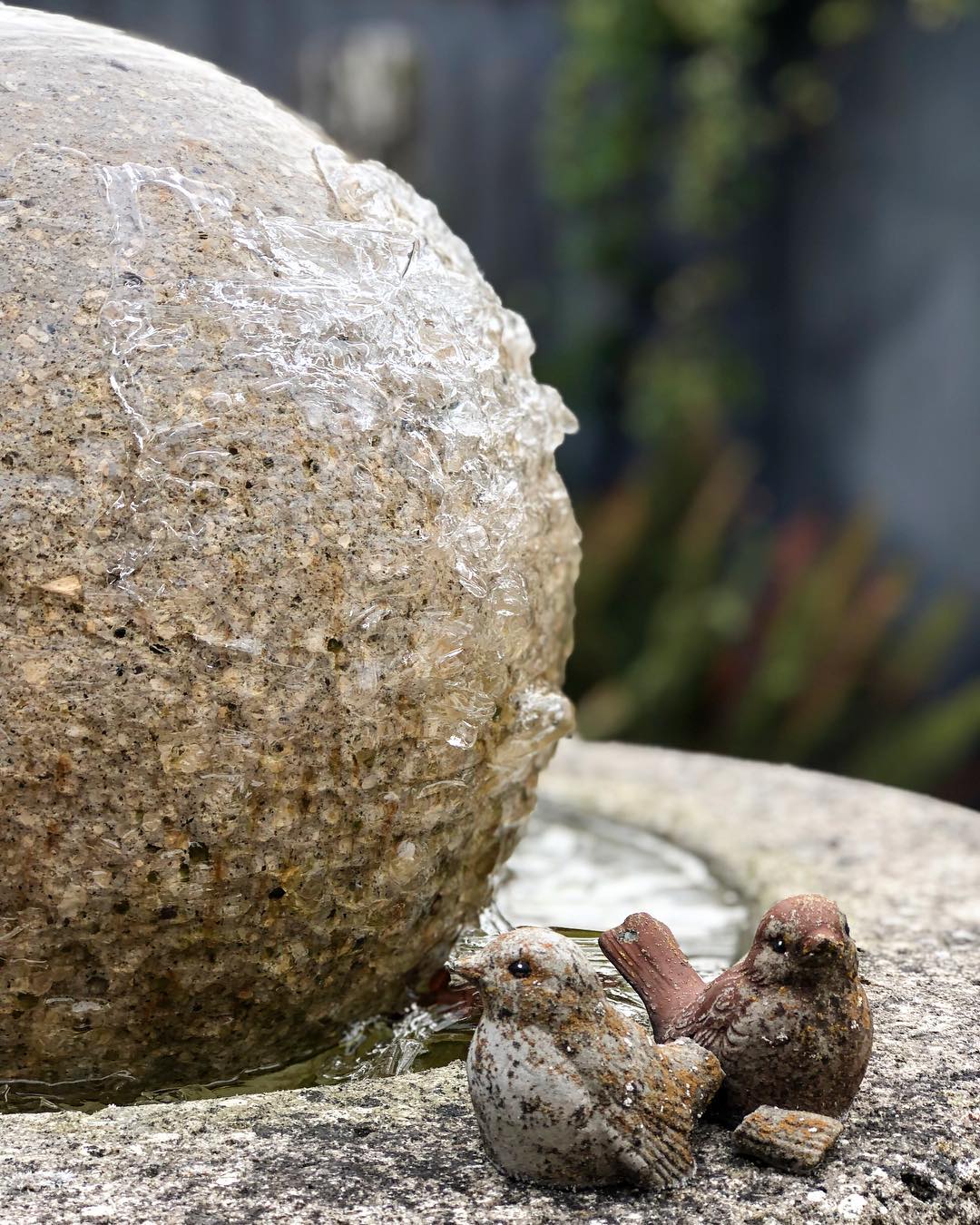 Two sparrow statues in the foreground on the ledge of a frozen water fountain behind them