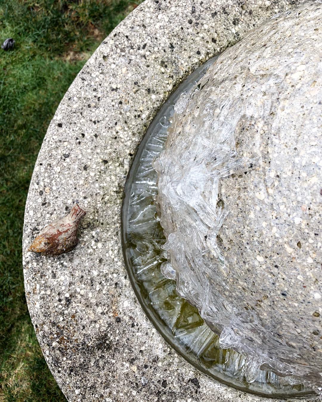 Overhead view of frozen water fountain and one sparrow statue sitting on the ledge of the fountain