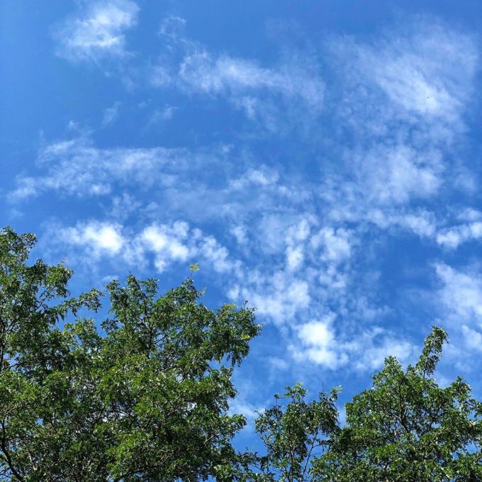 Blue skies with a few small clouds high in the sky with green leafy trees in the foreground