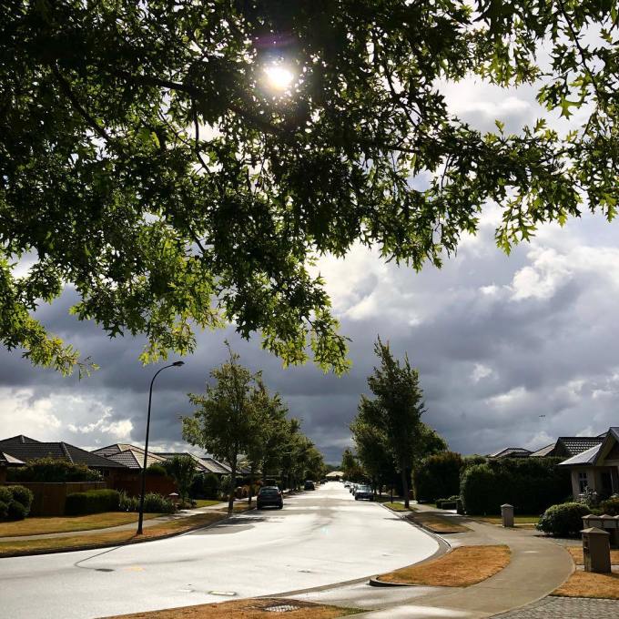 Sun shining through an oak tree in the foreground with wet street leading into the distance and dark rain clouds beyond