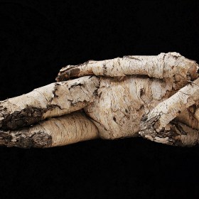 A man covered in birch bark lies on the ground with a black background