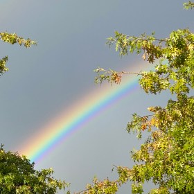 A bright rainbow against a dark cloudy sky in Northwood, New Zealand (no filters added)