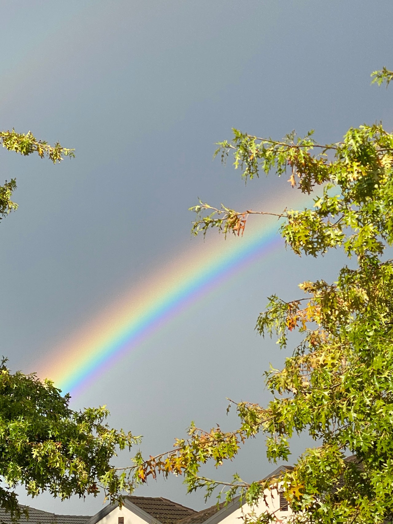 A bright rainbow against a dark cloudy sky in Northwood, New Zealand (no filters added)