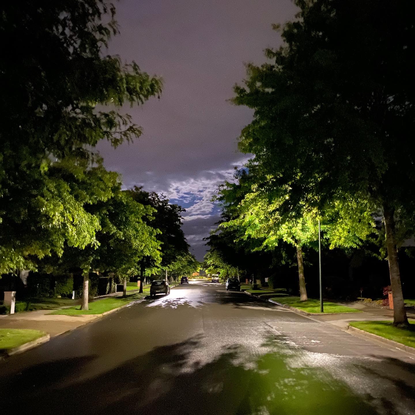 Slick suburban street with leafy green oak trees either side, the breaking clouds illuminated by the moon, after days of rain in the summer