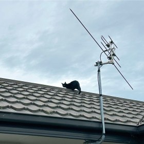 Black Bombay cat on a house roof with smoky skies above her